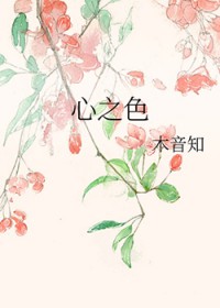 心之色
